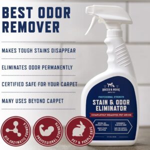 Rocco & Roxie Stain & Odor Eliminator for Strong Odor, 32oz Enzyme Pet Odor Eliminator for Home, Carpet Stain Remover for Cats & Dog Pee, Enzymatic Cat Urine Destroyer, Carpet Cleaner Spray