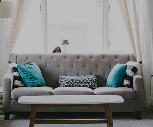 Embrace the Future: Must-Have Innovations for Your Smart Home